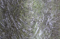 Itteringham fibreglass roof work